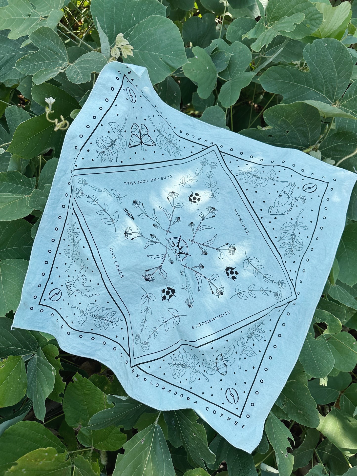 Exploradora Bandana