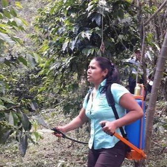 Mexico - Organic, Fair Trade