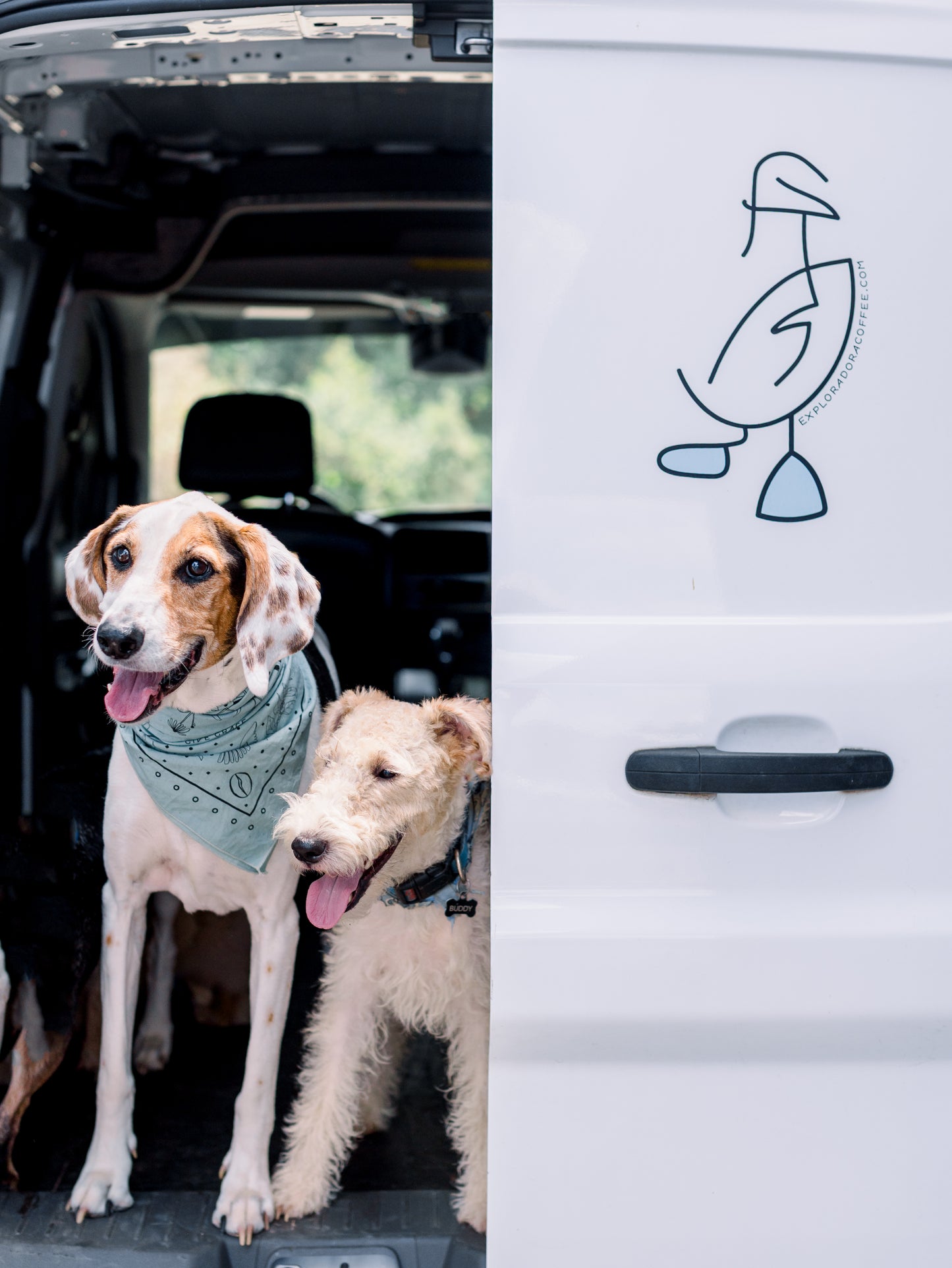 Exploradora Bandana