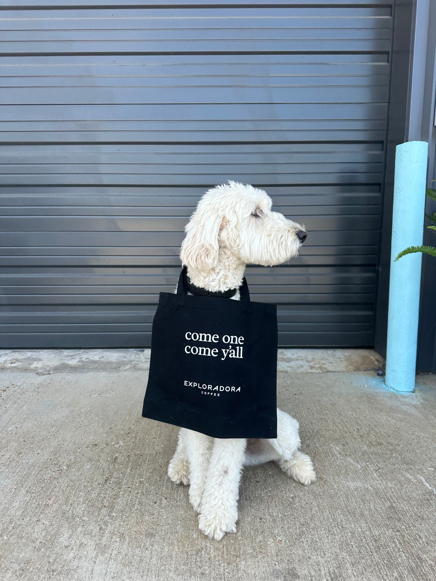 Canvas Tote