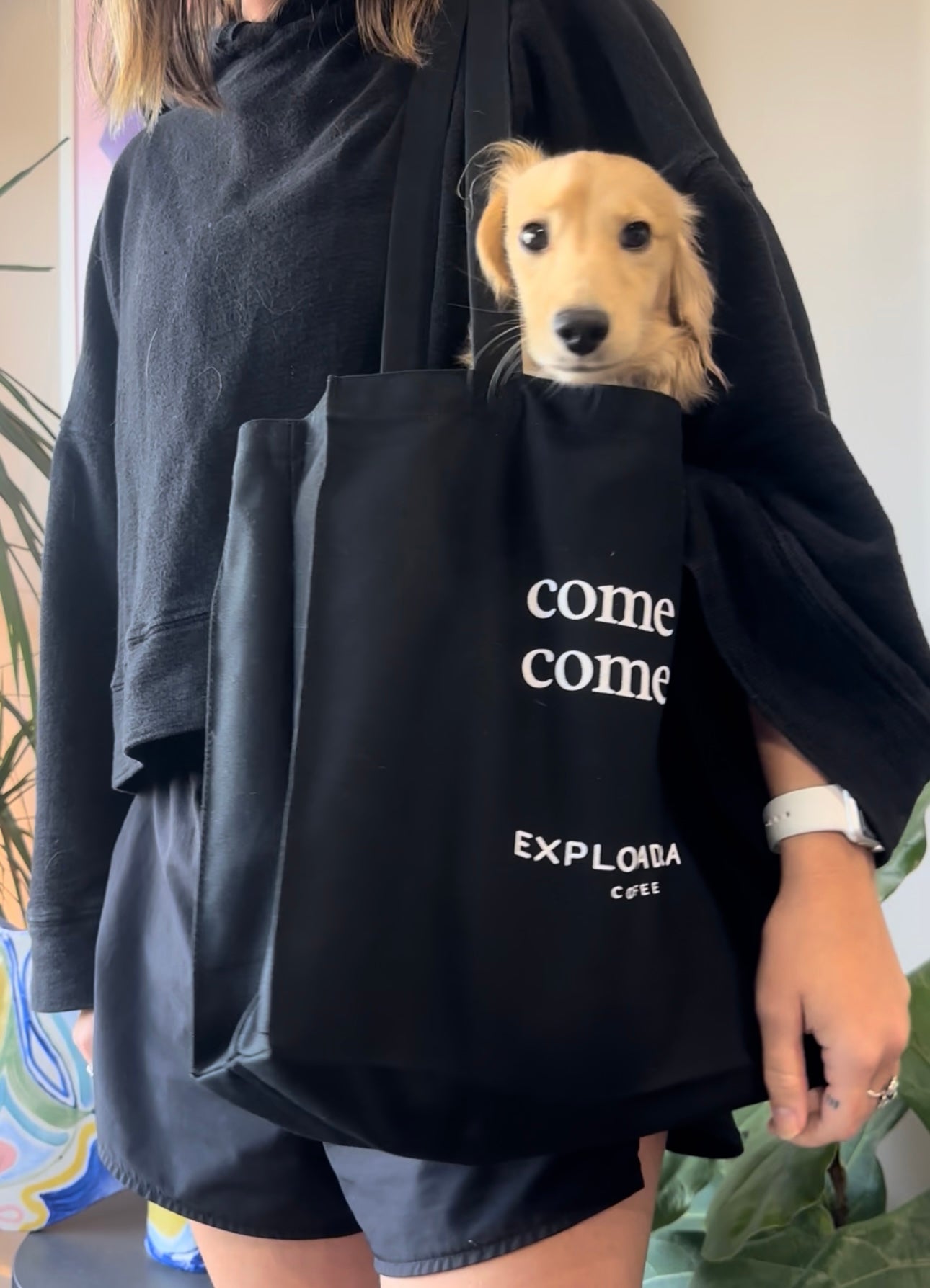 Canvas Tote