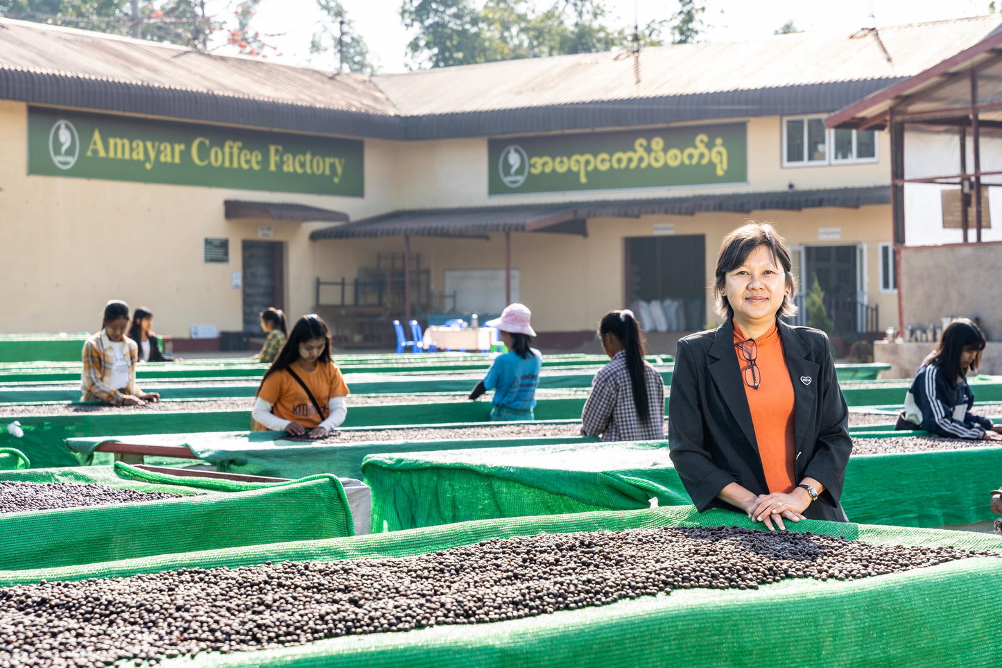 Myanmar Special Reserve