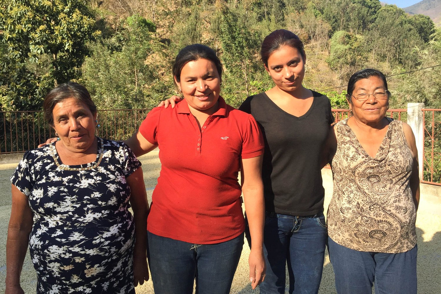Guatemala - Organic