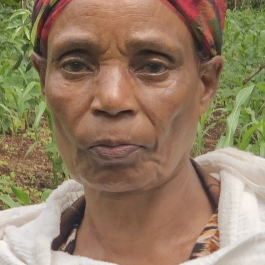Ethiopia Yirgacheffe