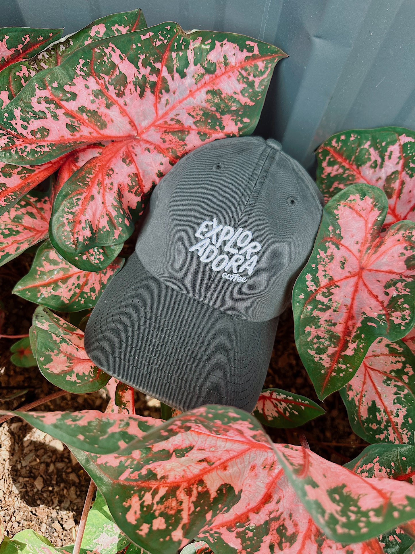 Exploradora Cap