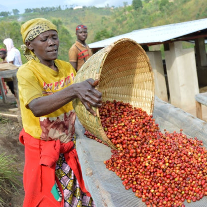 Burundi - Organic