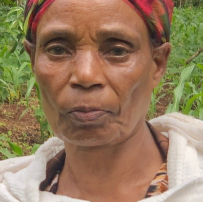Ethiopia Yirgacheffe