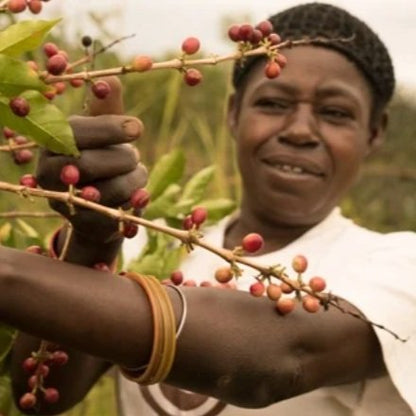 Rwanda - Fair Trade